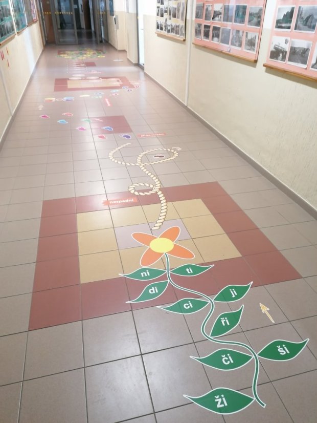 Senzomotorická dráha + tvary a roční období