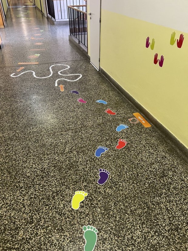 Senzomotorická dráha