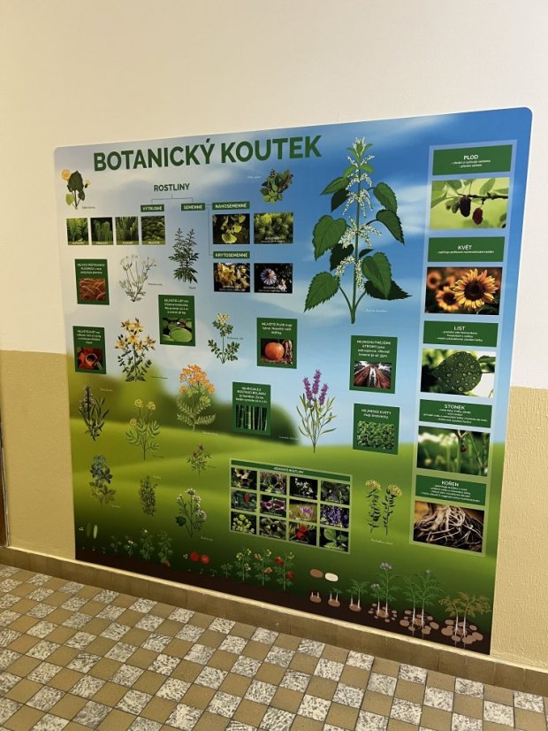 Botanický koutek