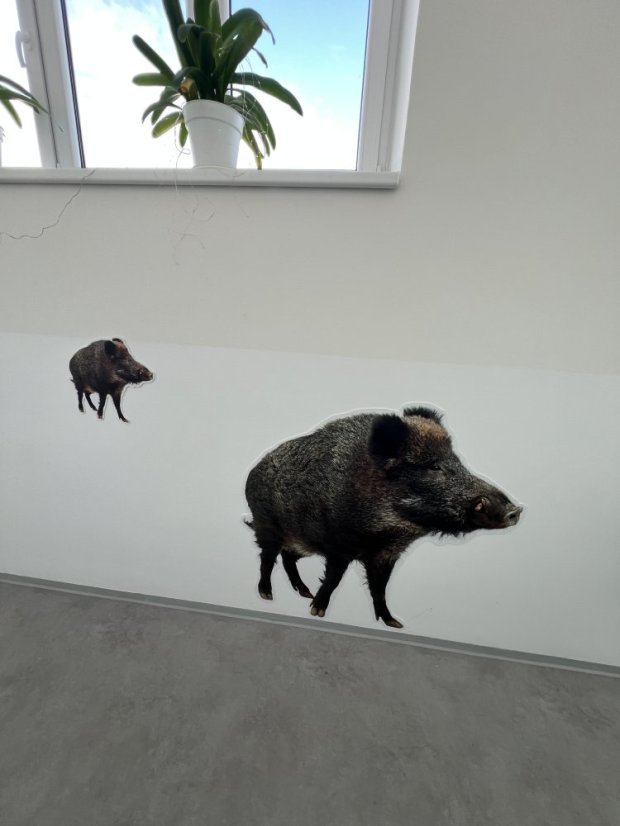 Zvířata jako živá