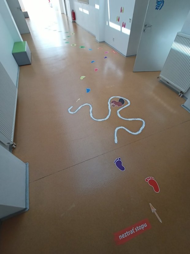 Senzomotorická dráha + tvary a roční období