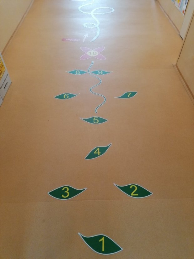 Senzomotorická dráha + tvary a roční období