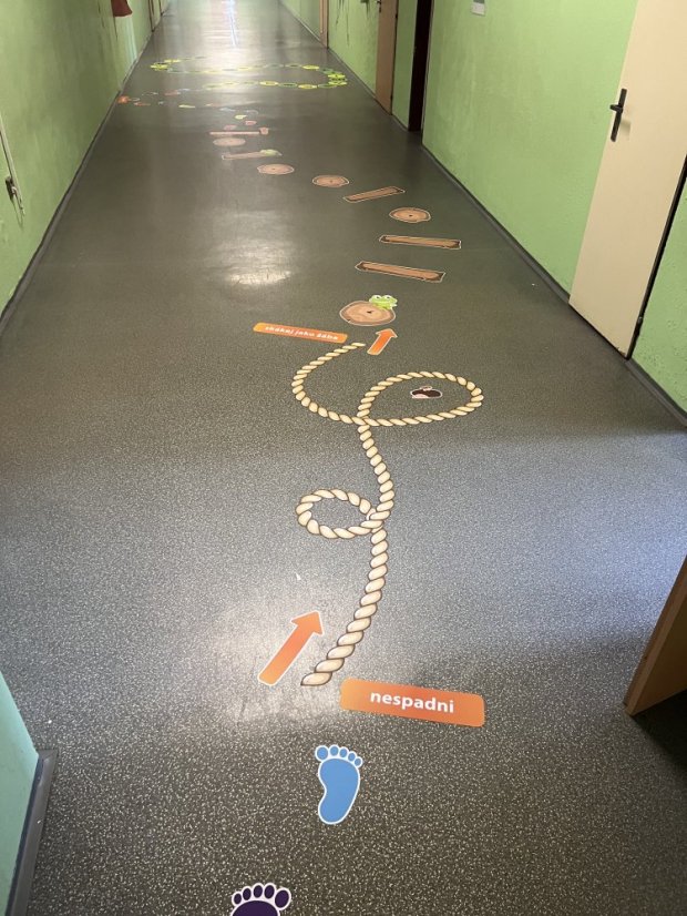 Senzomotorická dráha