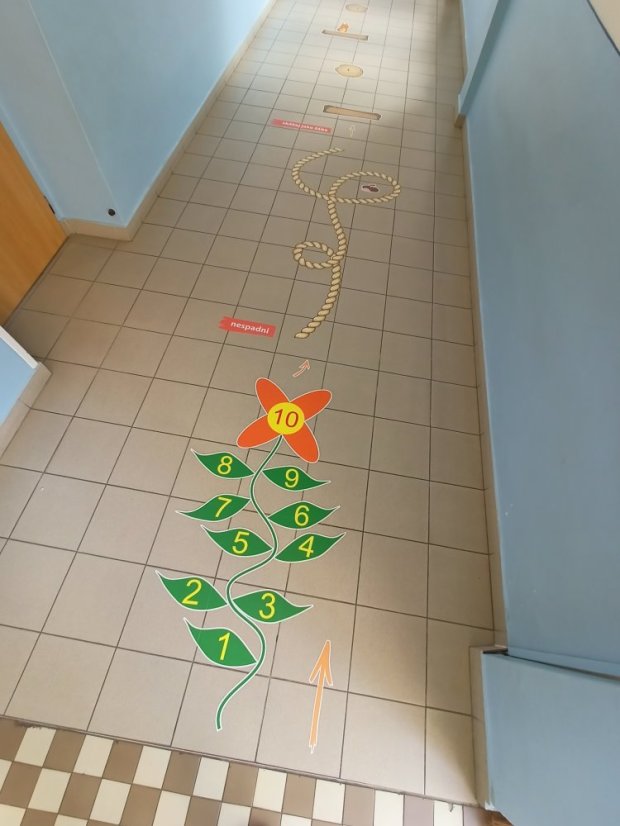 Senzomotorická dráha + tvary a roční období