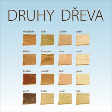Druhy dřeva - DÍLNA
