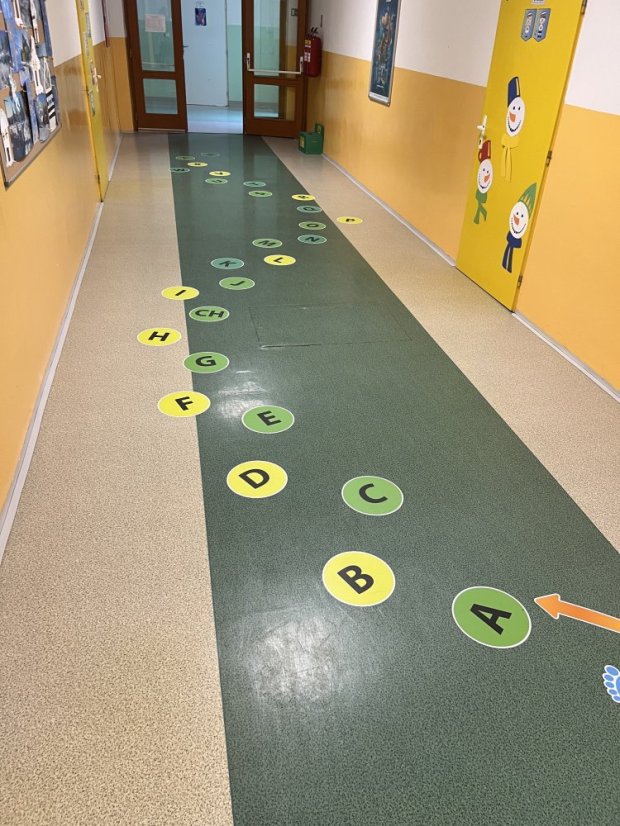 Senzomotorická dráha