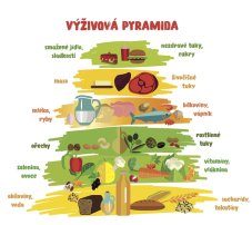 Nástěnná deska Výživová pyramida malovaná s popisem