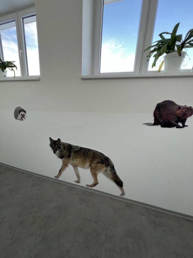 Zvířata jako živá