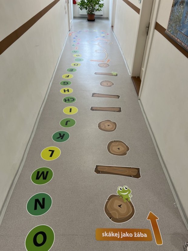 Senzomotorická dráha