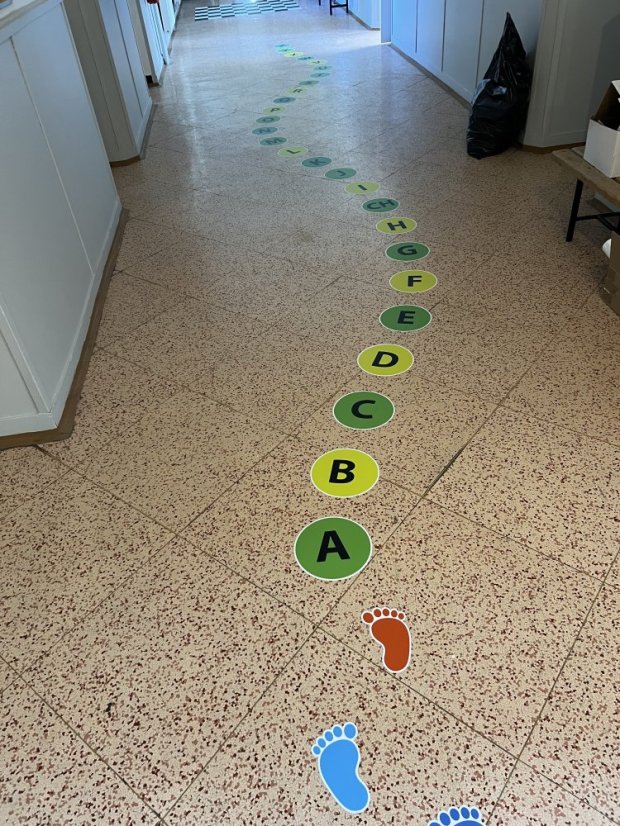 Senzomotorická dráha + ČJ