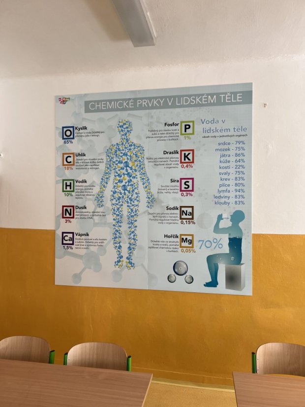 Chemie v lidském těle