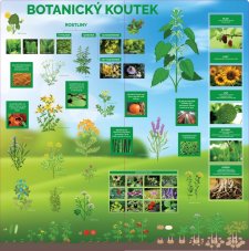Botanický koutek
