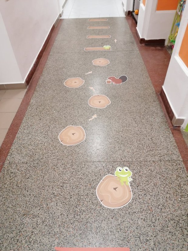 Senzomotorická dráha + tvary a roční období