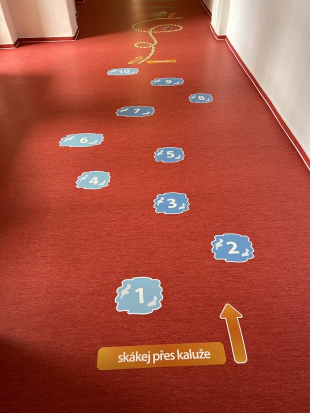 Senzomotorická dráha