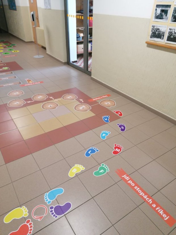 Senzomotorická dráha + tvary a roční období