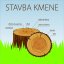 Stavba kmene - DÍLNA