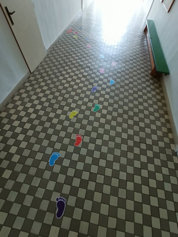 Senzomotorická dráha + tvary a roční období