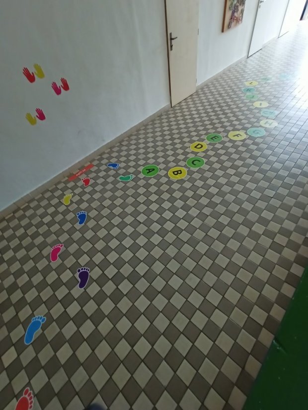 Senzomotorická dráha + tvary a roční období