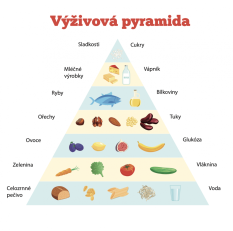Nástěnná deska Výživová pyramida s popisem