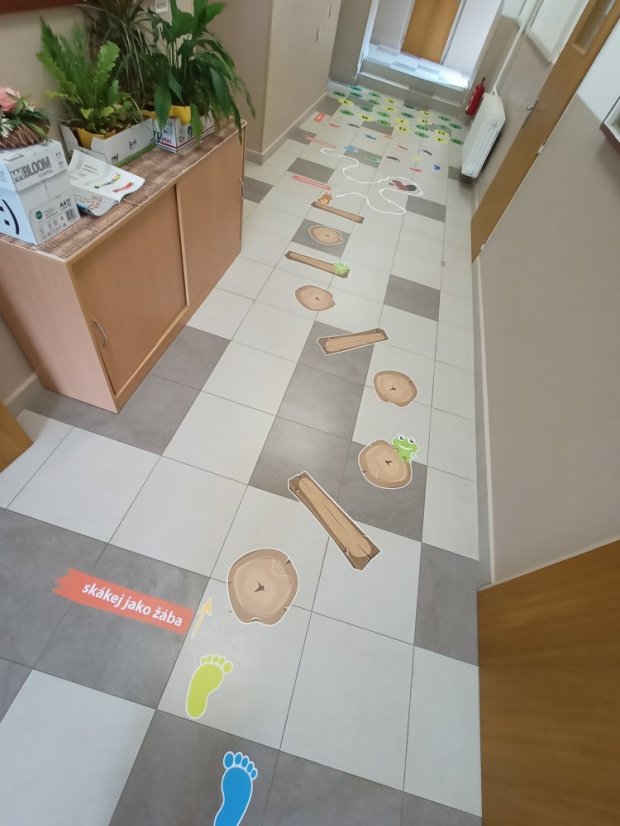 Senzomotorická dráha + tvary a roční období