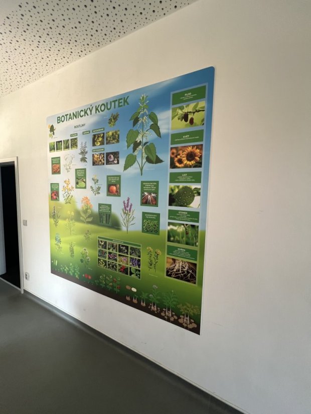 Botanický koutek