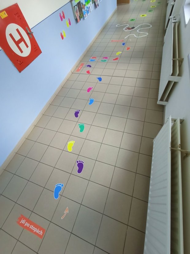 Senzomotorická dráha + tvary a roční období