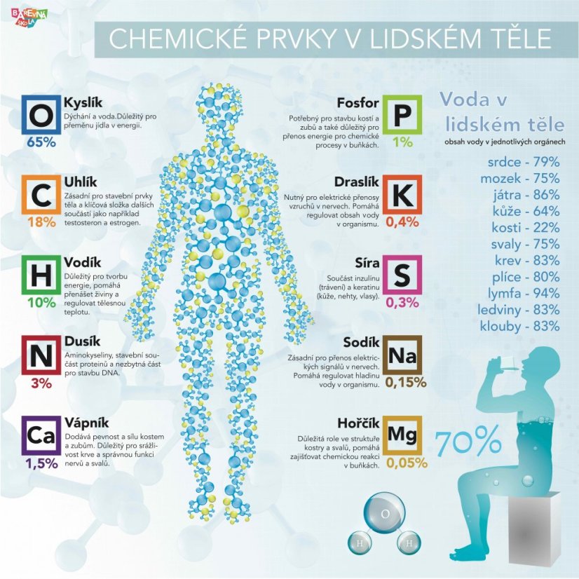 Chemie v lidském těle