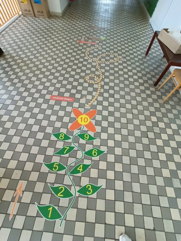 Senzomotorická dráha + tvary a roční období