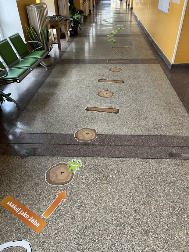 Senzomotorická dráha