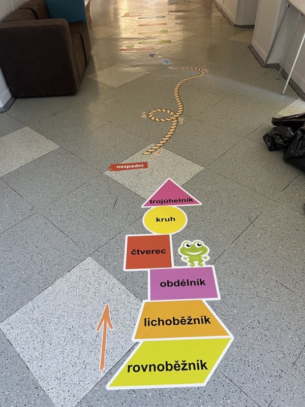 Senzomotorická dráha + tvary a roční období