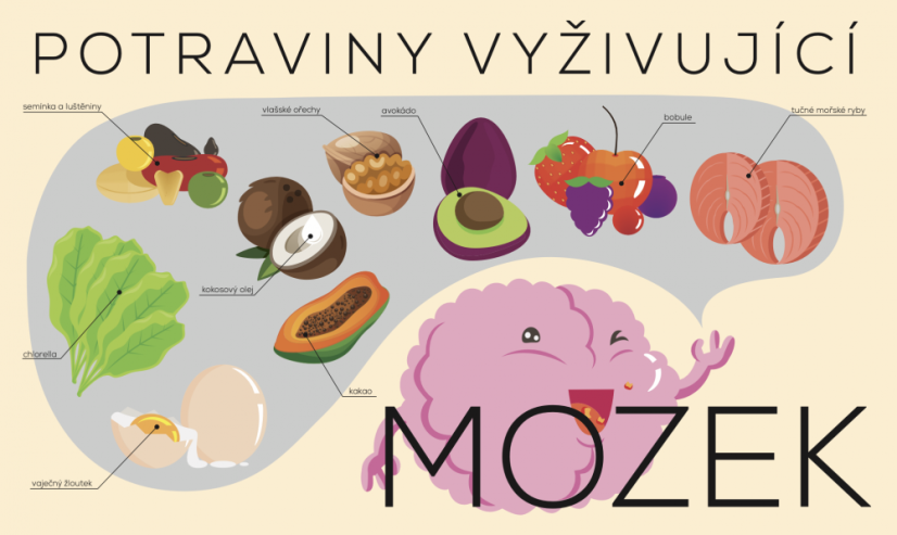 Nástěnná deska Mozek a výživa