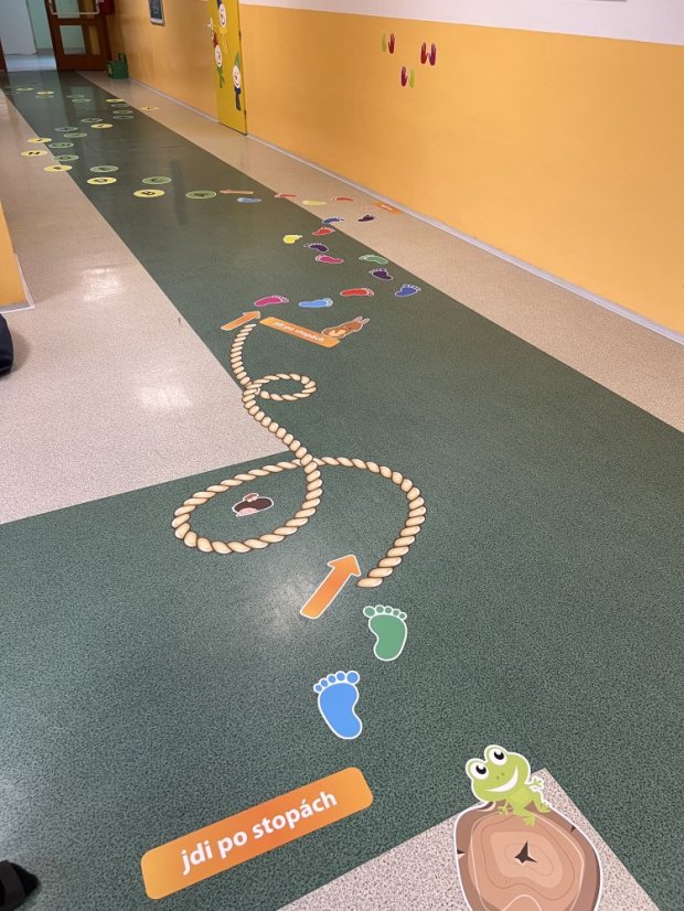 Senzomotorická dráha