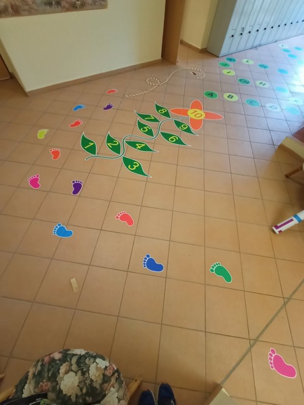 Senzomotorická dráha + tvary a roční období