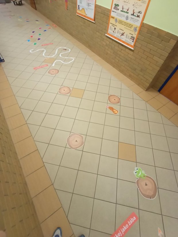 Senzomotorická dráha + tvary a roční období