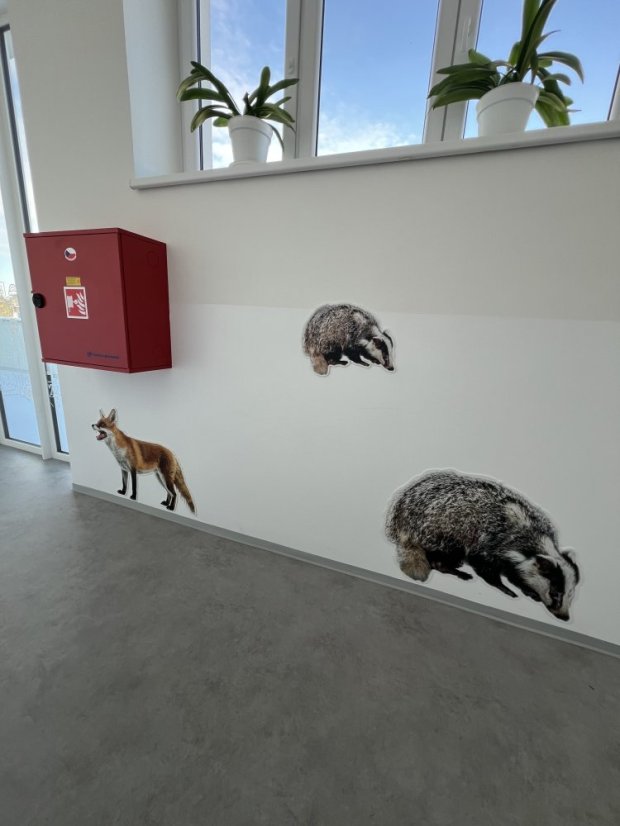 Zvířata jako živá