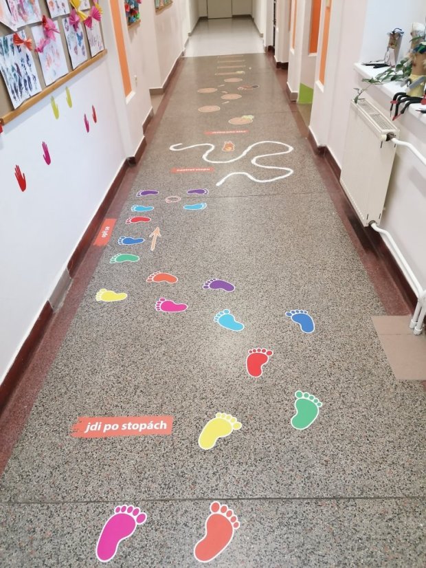 Senzomotorická dráha + tvary a roční období