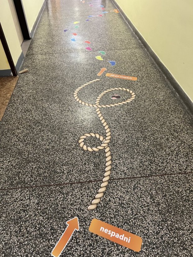 Senzomotorická dráha