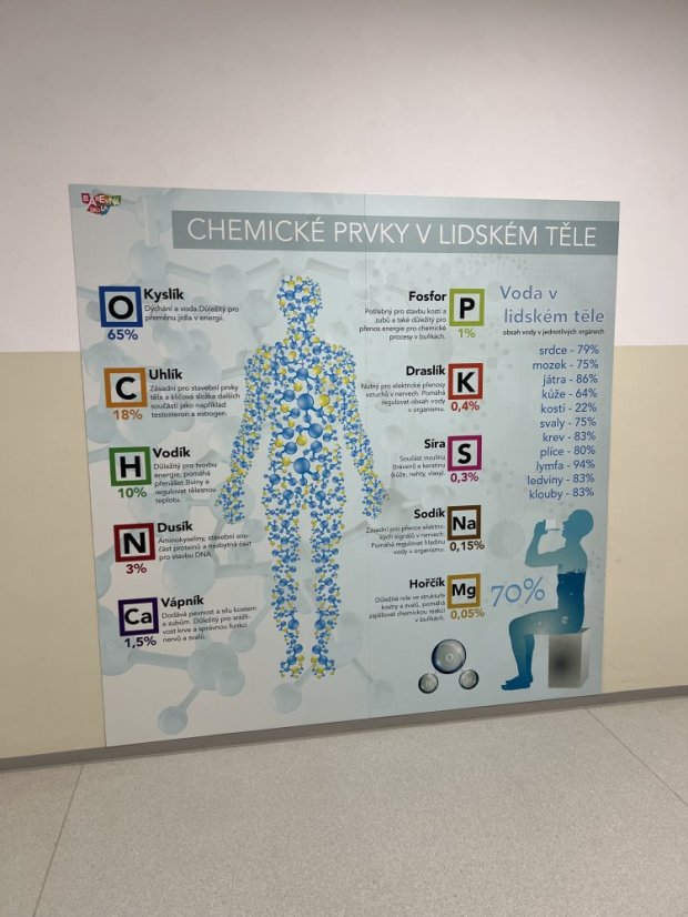 Chemie v lidském těle