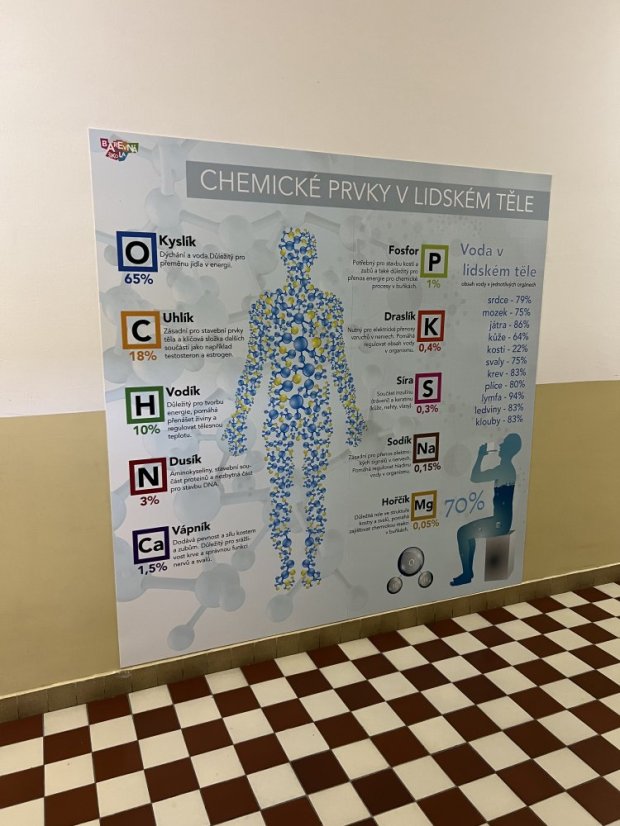 Chemie v lidském těle