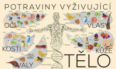 Nástěnná deska Tělo a výživa