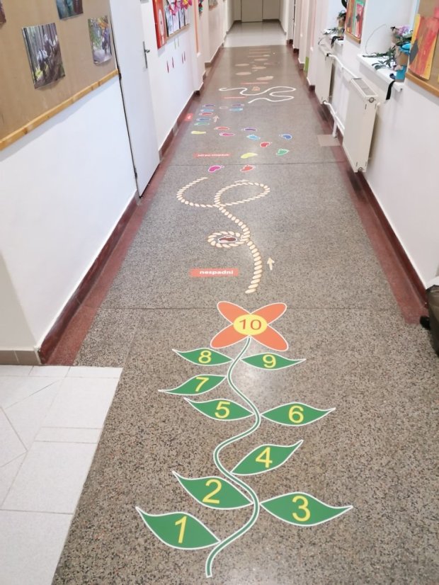 Senzomotorická dráha + tvary a roční období