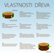 Vlastnosti dřeva - DÍLNA