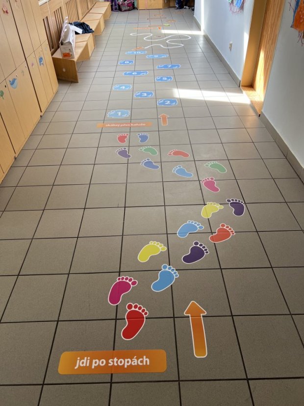 Senzomotorická dráha