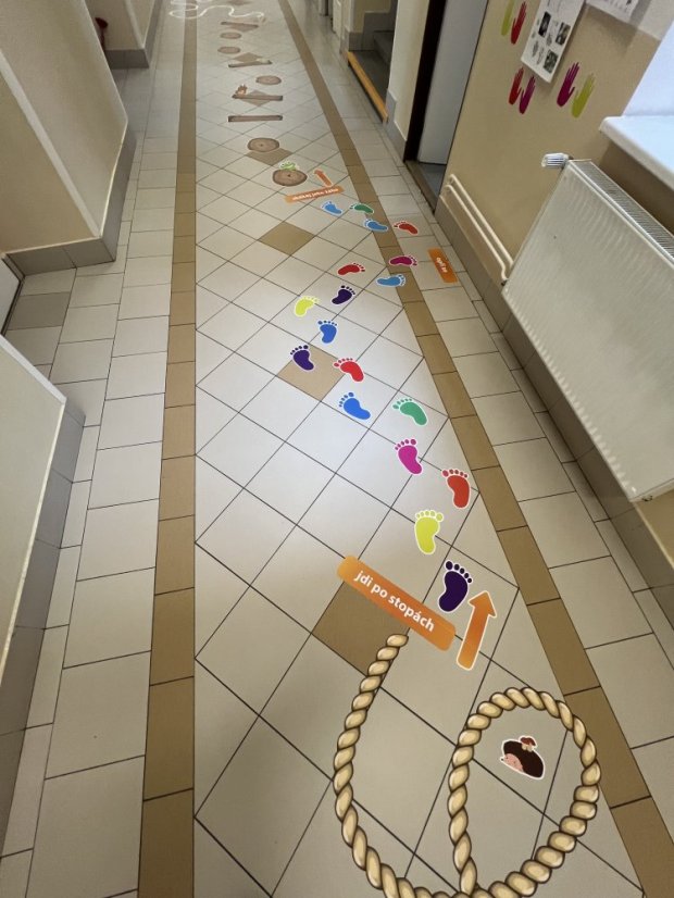 Senzomotorická dráha