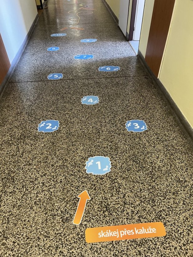 Senzomotorická dráha