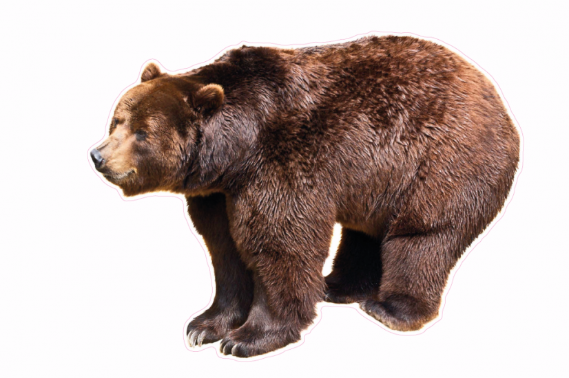 Zvířata jako živá