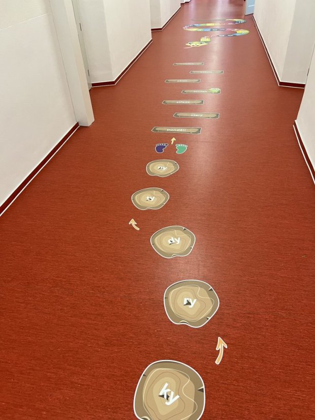 Senzomotorická dráha + ČJ