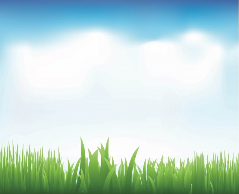 Magnetická zeď - nebe a tráva