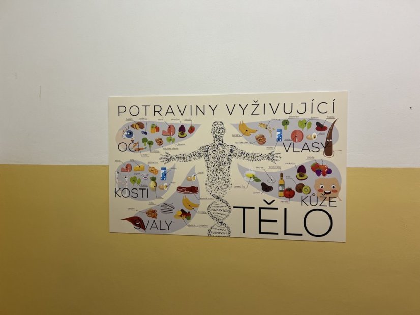 Nástěnná deska Tělo a výživa