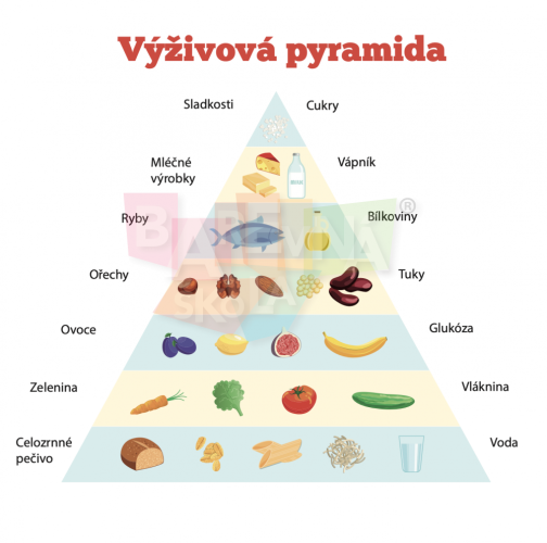 Nástěnná deska Výživová pyramida s popisem